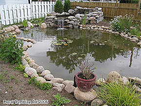 Garden Pond - DIY Garden Pond - Build Garden Pond