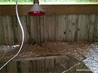 Chicken Nesting boxes - Chicke nest - DIY Nesting Boxes