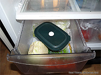 Placing seeds in refrigerator - Improving Germination