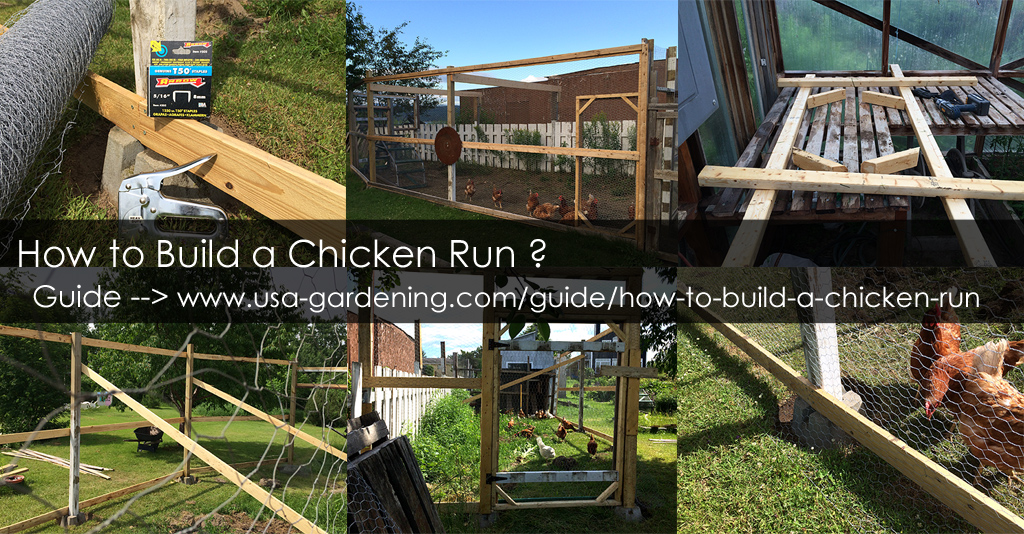 Chicken coop plans
