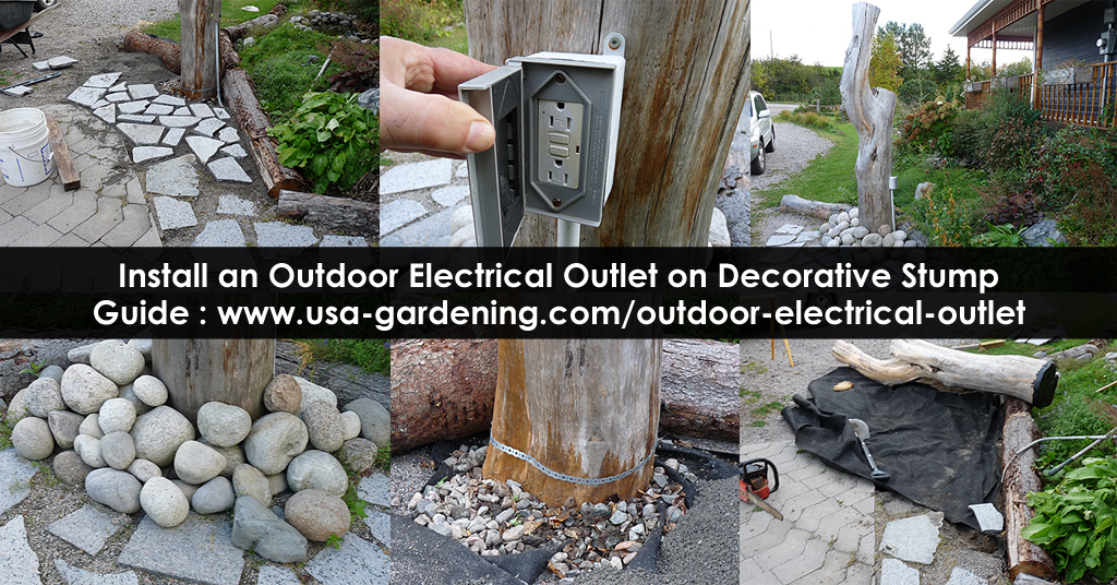 Install An Outdoor Outlet On Tree Stump Diy