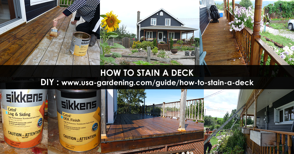 Stain a deck