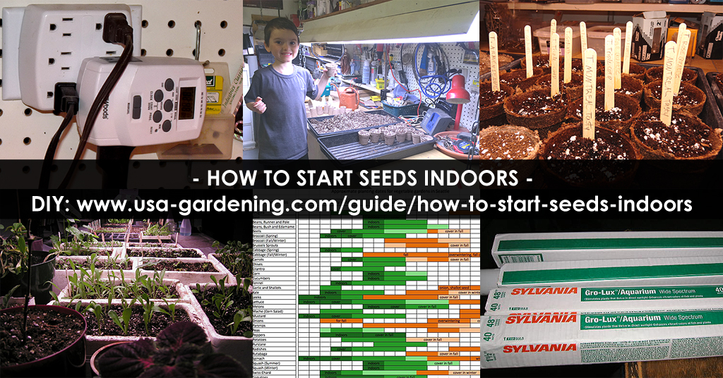 Starting seeds indoors