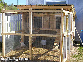 DIY Hen Coop - DIY Chicken Coop - DIY Hen House