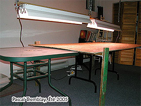 Grow Table - Start seeds indoor - Growing Lamps - Seedlings table