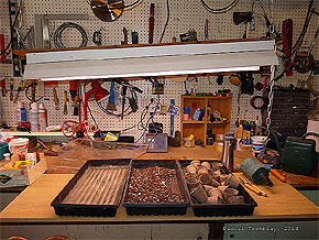 Indoor seed starting table - Setup Indoor grow lights and grow table