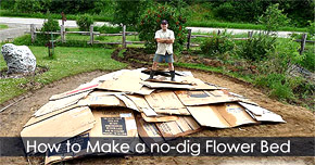 Organic Gardening Tips and Ideas - No-dig flower bed