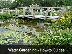 Water Gardening Projects DIY Instructions - Gardening association - Gardens USA