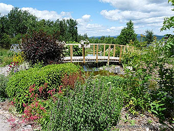 DIY Water Garden - DIY Pond Stream - Backyard Pond
