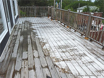 Clean Deck - How to clean deck - Maintain a deck
