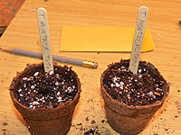 Labeling seedlings