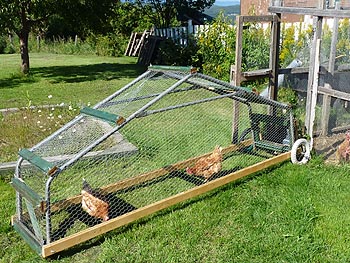 Mobile Chicken Building Guide - DIY Chicken Tractor