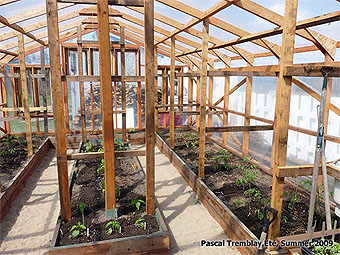 DIY Garden Greenhouse - Backyard Greenhouse Plans - Hydroponic Greenhouse