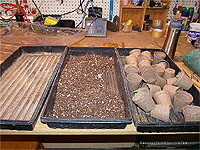 Seed starting supplies - Seed starting equipment - Growing trays - Seedling tray