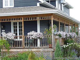 Victorian Rustic Porch Design Idea - Wrap-around Porch