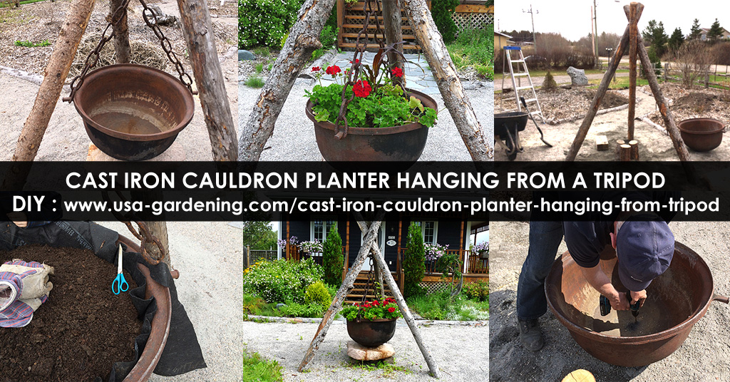 Hanging planters