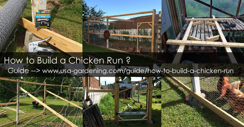 How to Make a Chicken Tunnel - DIY Chicken Garden Run Tunnel