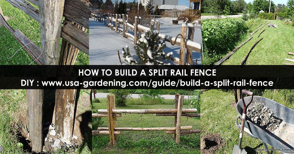 Split-rail fence