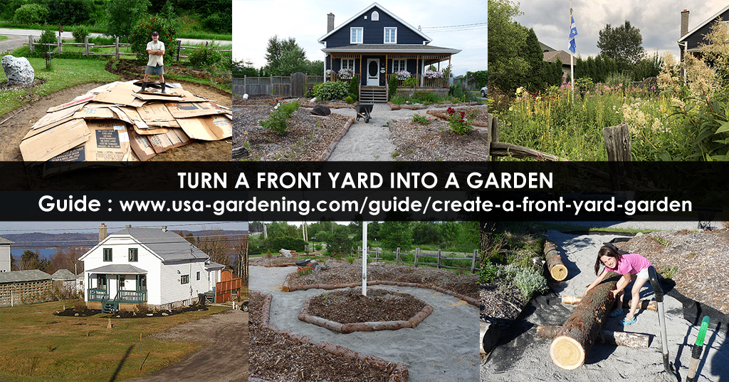 Front Yard Garden